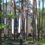 miting navalny 12 06 - OpenDubna.Ru