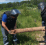 158 боеприпасов ВОв обезврежено с начала года - OpenDubna.Ru