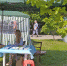 den gor zdor zhen - OpenDubna.Ru