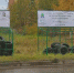 Куда выбросить старую резину - OpenDubna.Ru