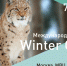 О проведении международной мультисистемной выставки кошек «Winter Cat Show» - Администрация городского округа Дубна