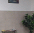 Лучший подъезд Дубны участвует в областном конкурсе - OpenDubna.Ru