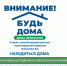 Информация мониторинга ситуации в город Дубна Московской области на 17 апреля 2020 года - Администрация городского округа Дубна