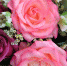 С Днем учителя! - Университет Дубна