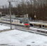 С 11 до 31 января - Дубна-inform