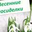 Весенние посиделки - Библиотека семейного чтения