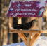 Жителей Дубны пригласили в парки, чтобы изучить повадки птиц - Regions.Ru