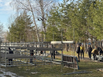 Фото: администрация городского округа Дубна