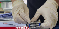 Ученый из Дубны планирует вывести российскую индустрию батарей на мировой уровень - Regions.Ru