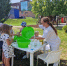 Дети Дубны познают мир через научные игры в Парке семейного отдыха - Regions.Ru