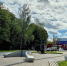 Семиметровое дерево посадят на месте погибшей елки в сквере Журавлева - Regions.Ru