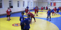 Самбо – семейное дело: как братья Спориш прославили Дубну и помогают готовить молодых спортсменов - Regions.Ru